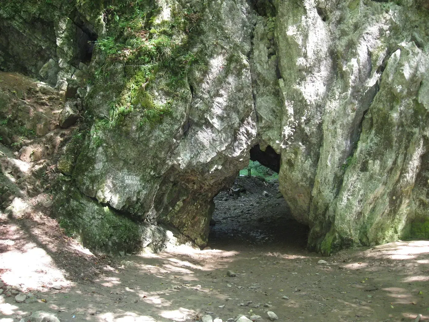 Limestone rock Čertova branka in Pustý žleb