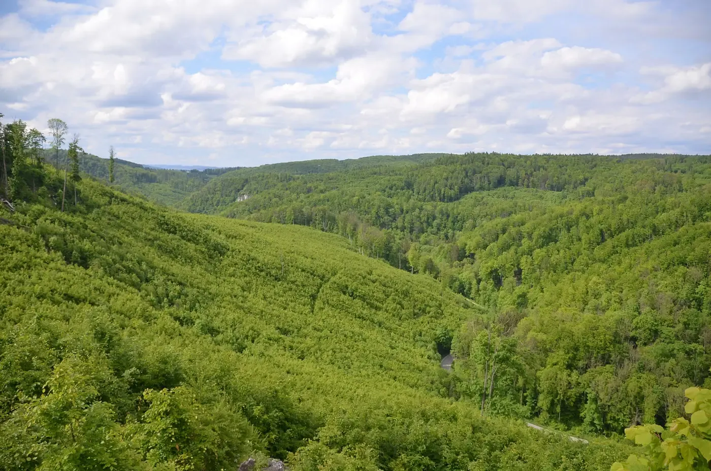 Zalesněné Křtinské údolí na jaře